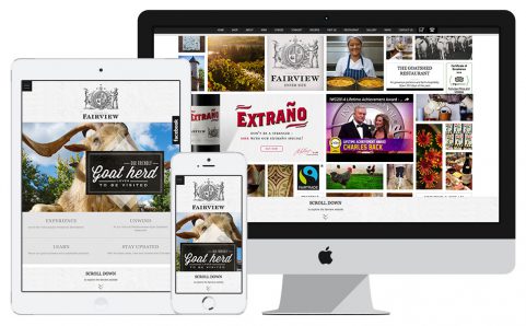 Fairview Wine & Cheese